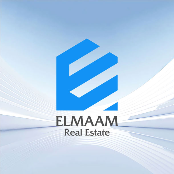 visual identity design details